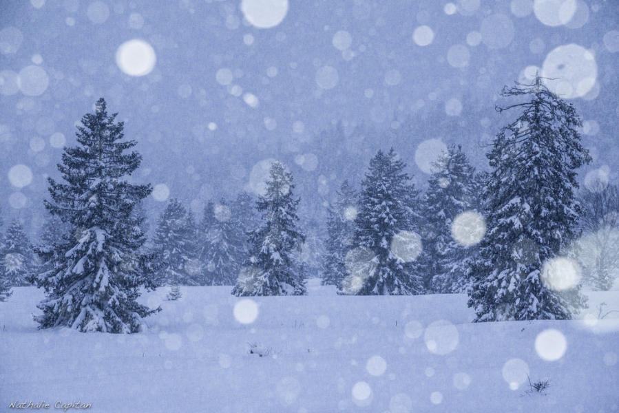 Hiver